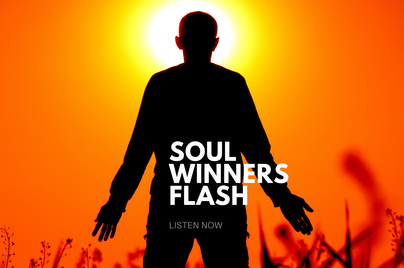 Soul Winners Flash