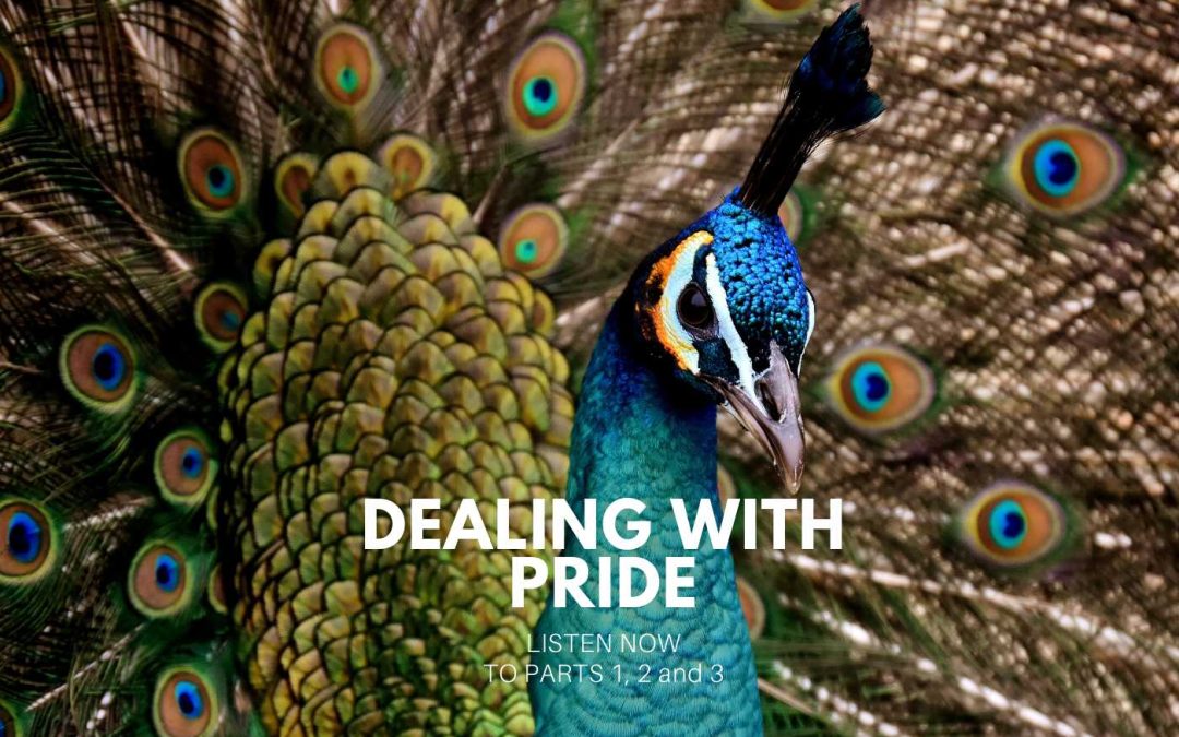 Dealing With Pride